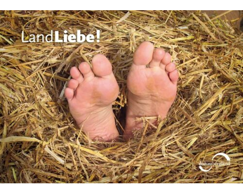 Donaubergland Postkartenmotiv mit zwei nackten Füßen, die aus dem Stroh schauen.