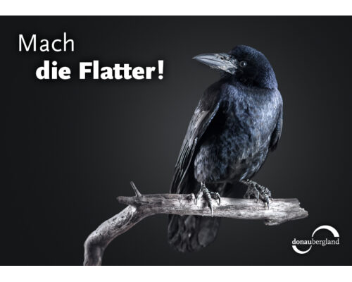 Donaubergland Postkartenmotiv mit schwarzem Vogel, der auf einem Ast sitzt mit schwarzem Hintergrund