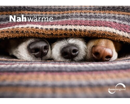 Donaubergland Postkartenmotiv mit drei Hundeschnauzen, die aus einer Decke schauen