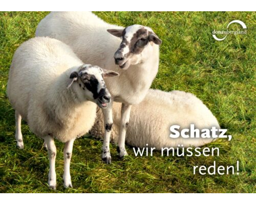 Donaubergland Postkartenmotiv mit zwei stehenden und einem liegenden Schaf auf einer grünen Wiese.